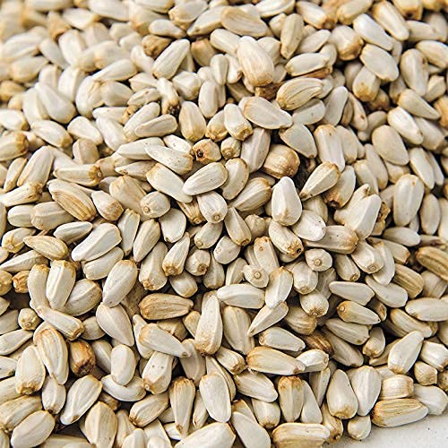 Zafir Natural Aspir Tohumu – Yerli, Doğal, Yüksek Verimli